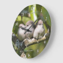 Recherche de oiseaux noirs horloges Famille