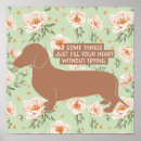 Recherche de chien de teckel posters Dachshund