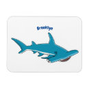 Recherche de requins magnets Océan