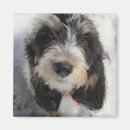Recherche de vendeen magnets Chiot