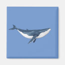 Recherche de petite baleine bleue magnets Faune
