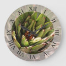 Recherche de plantes photographie Succulent