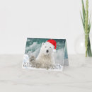 Recherche de ours noël cartes Chapeau santa