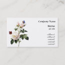 Recherche de papillon blanc cartes visite Rose
