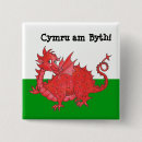 Recherche de gallois badges Dragon