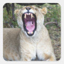 Recherche de panthera autocollants Extérieur