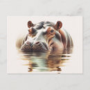 Recherche de hippopotames cartes postales Faune africaine