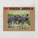 Recherche de jeune zèbre posters Animal