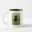 Recherche de labrador retriever noir tasses Sport