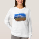 Recherche de mt mckinley Coloré