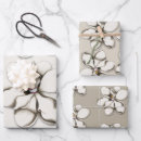 Recherche de feuille de magnolia Pour elle