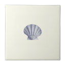 Recherche de coquille de mer carreaux Océan
