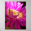 Recherche de macro posters Nature