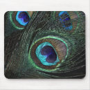 Recherche de plume paon tapis souris Nature