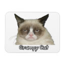 Recherche de 3x4 magnete Chat