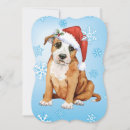 Recherche de staffie vœux cartes Staffordshire bull terrier
