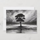 Recherche de arbre solitaire cartes postales Noir et blanc
