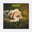 Recherche de amis animaux magnets Mignon