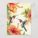 Recherche de nature design cartes postales Oiseau