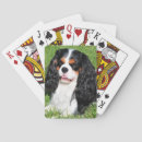 Recherche de tri jeux de cartes Chien