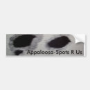 Recherche de appaloosa voiture autocollants Appy