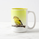 Recherche de pinsons tasses Animaux