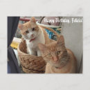 Recherche de chat de gingembre vœux cartes Pour elle