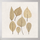 Recherche de naturaliste art Vintage