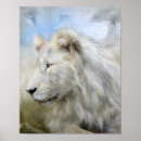Recherche de copie de grand chat posters L'afrique