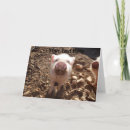 Recherche de porcelet vœux cartes Cochon