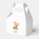Recherche de écureuil ballotins Baby shower