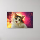 Recherche de peinture drôle chat posters Décoration