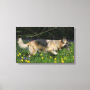 Recherche de berger allemand toiles Fleurs