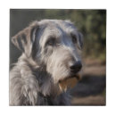 Recherche de amusement carreaux Animal