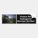 Recherche de gorille voiture autocollants Mtn gorilla