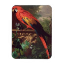 Recherche de écarlate magnets Oiseaux