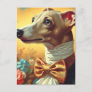 Recherche de greyhound cartes postales Chien gris