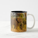 Recherche de le zimbabwe tasses Sergio pitamitz