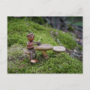 Recherche de glands cartes postales Drôle