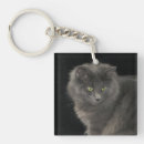 Recherche de chaton porteclés Mignonette