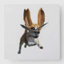 Recherche de chiot beagle horloges Animaux