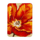 Recherche de perroquets magnets Tropical