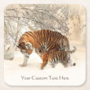 Recherche de bébé de tigre Hiver