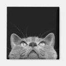 Recherche de chartreux magnets Noir