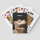 Recherche de caméléon jeux de cartes Faune