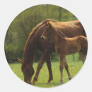 Recherche de thoroughbred autocollants Bob langrish