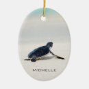 Recherche de vie de plage ornements Tortue