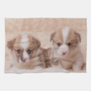 Recherche de corgi cuisine linges Pembroke welsh corgi