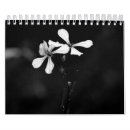 Recherche de noir et blanc calendriers Artistique