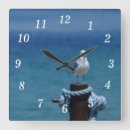 Recherche de crane horloges Faune